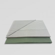 RIGA+DANY_0002_Layer 6