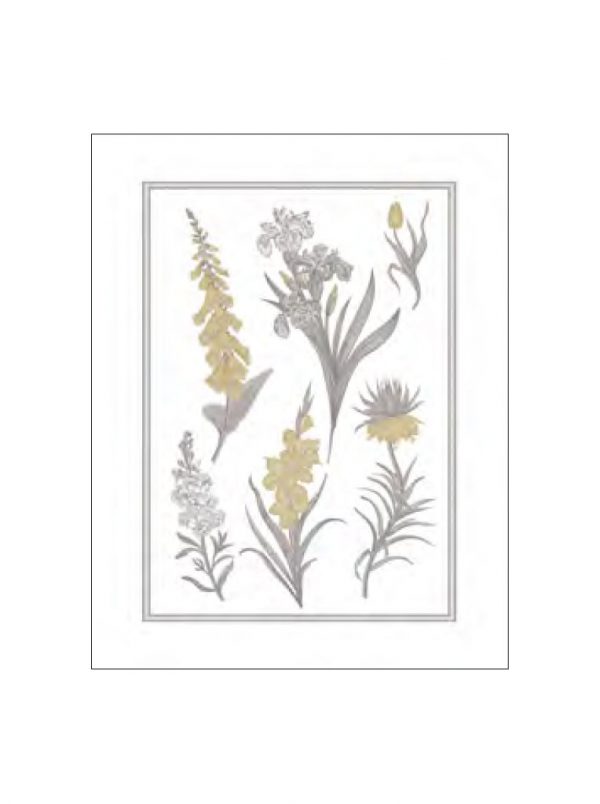 galinzia_0001_Livello 2