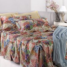 mira_0005_SHARM lenz R80